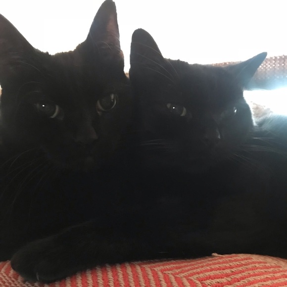 Meet your Posher, KC - Picture 4 of 6